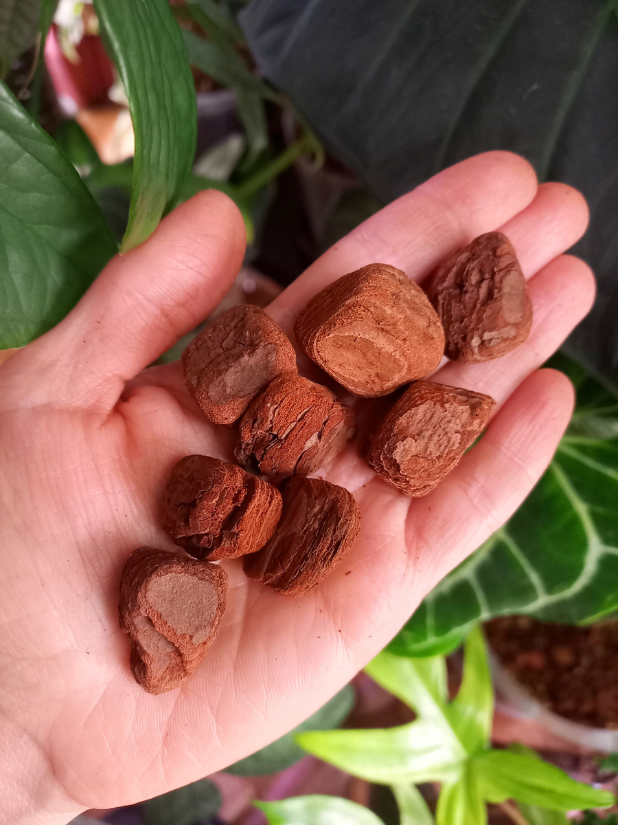 Так выглядит галтованная кора. Она гладкая и шлифованная