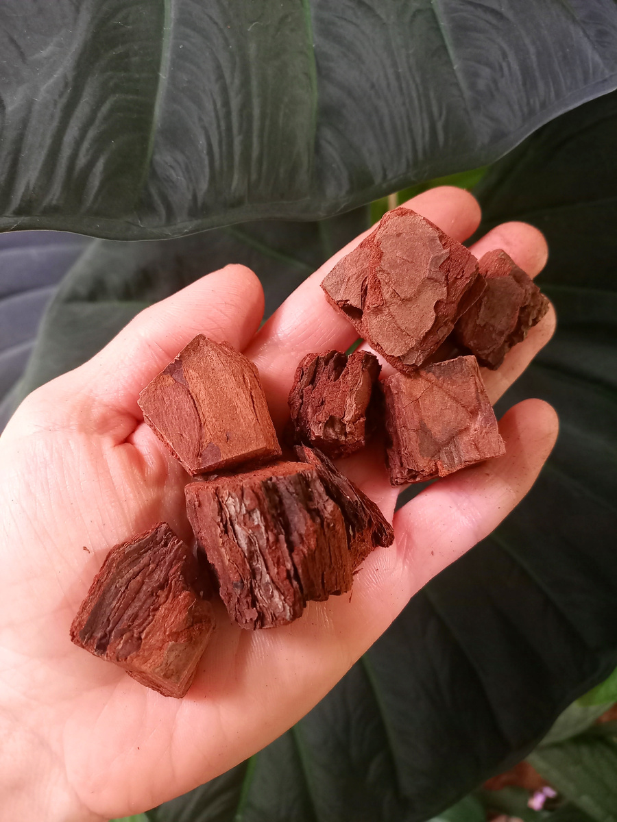 А так выглядит просто порезаная кора. У нее острые края.