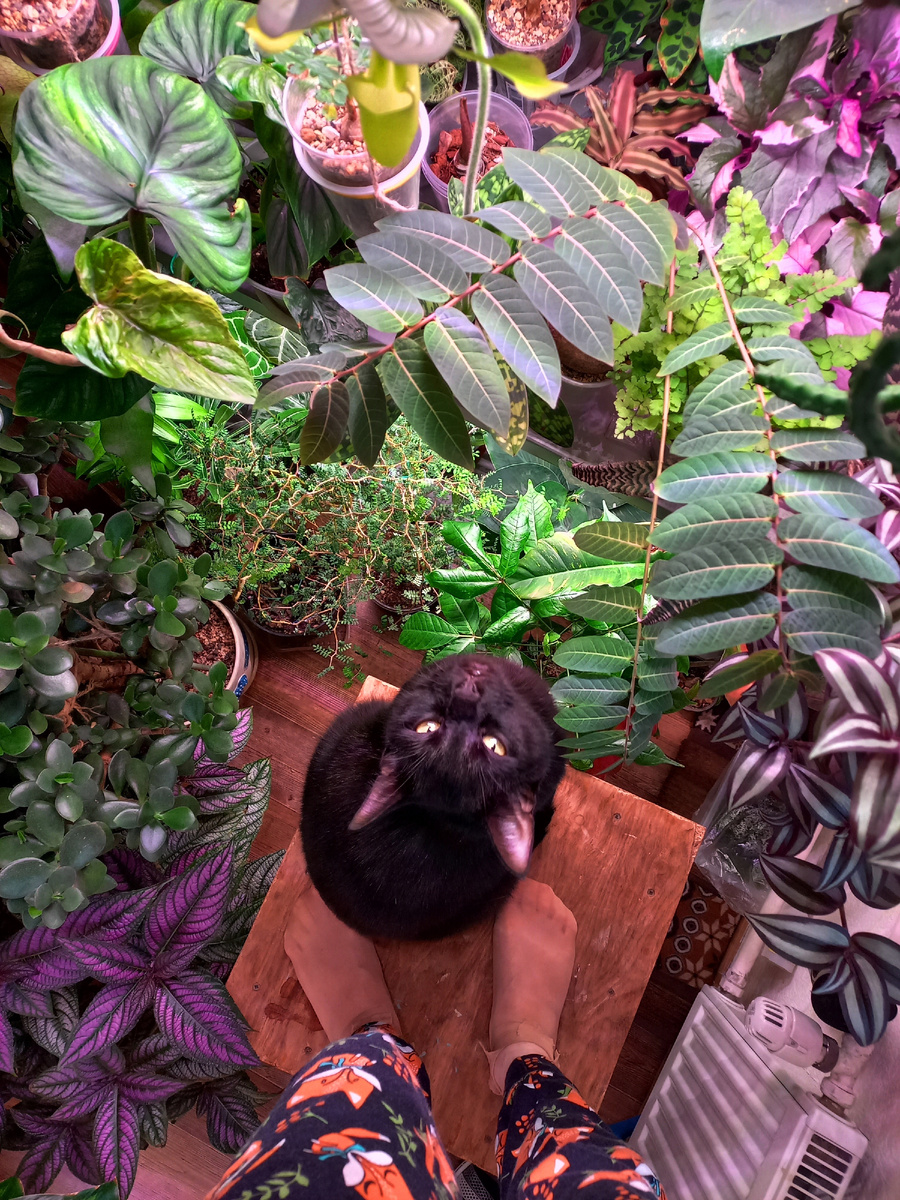 Без помощников - никуда!