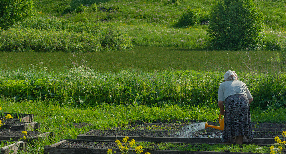 Летний день на острове Кижи
