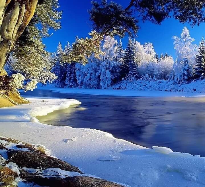 Картинка найдена на просторах интернета, ссылка https://yandex.ru/images/search?from=tabbar&img_url=https%3A%2Fi%2F.pinimg.com%2Foriginals%2Fa8%2F34%2Fа3f%2Fa83р43f81с2879аb5e7bd53274cf0591a19.jpg&lr=47&pos=15&rpt=simage&text=%D1%86%D0%B2%D0%B5%D1%82%D1%8B%20%D0%BA%D1%80%D1%83%D0%BF%D0%BD%D0%BE%20%D1%84%D0%BE%D1%82%D0%BE