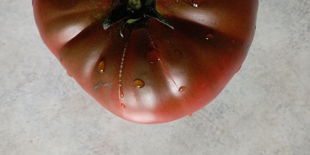 Каталог экзотических коллекционных томатов