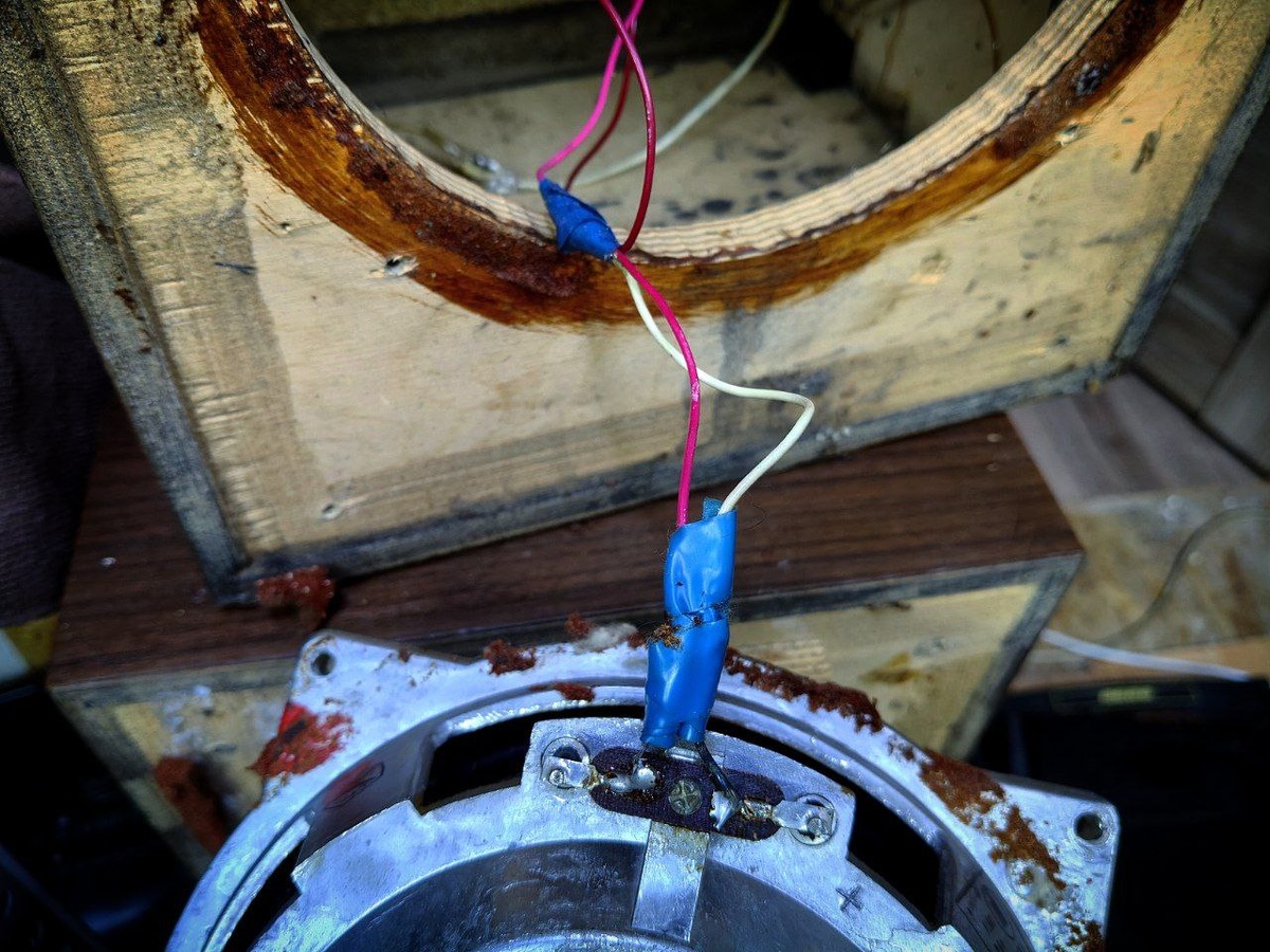 Колонки Вега 50АС-106 (Фото из моего личного архива).