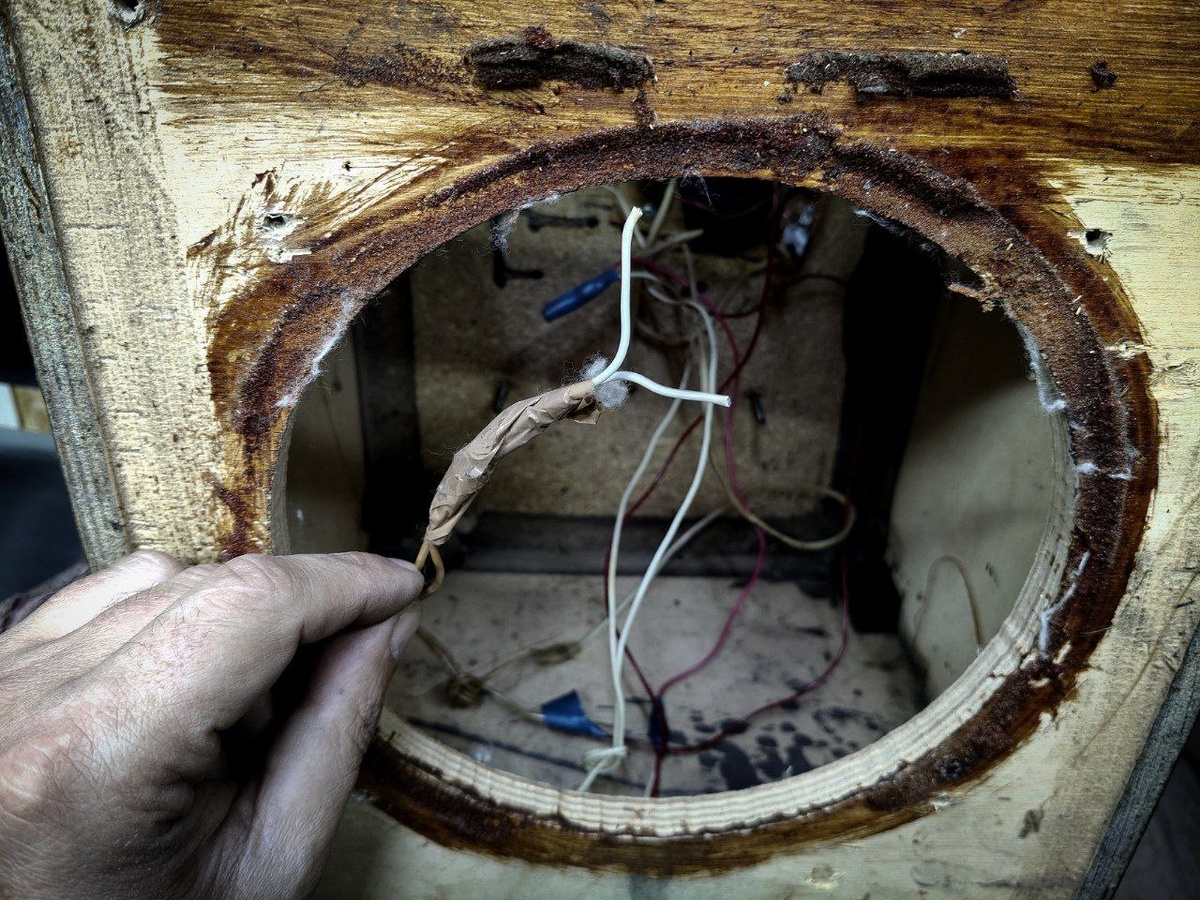 Колонки Вега 50АС-106 (Фото из моего личного архива).