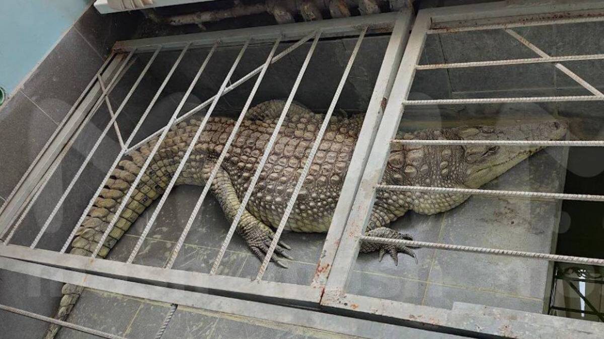    Фото: Mash / Telegram