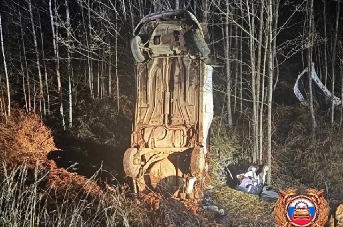    В Тверской области легковушка съехала в кювет, водитель погиб на месте