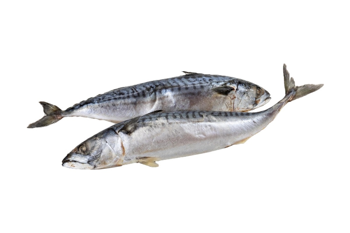 Фото с сайта: https://eda.yandex.ru/retail/almaty/fishdream_and_drinks/product/b384c611-0e25-4dc9-bac7-911a1c93532b