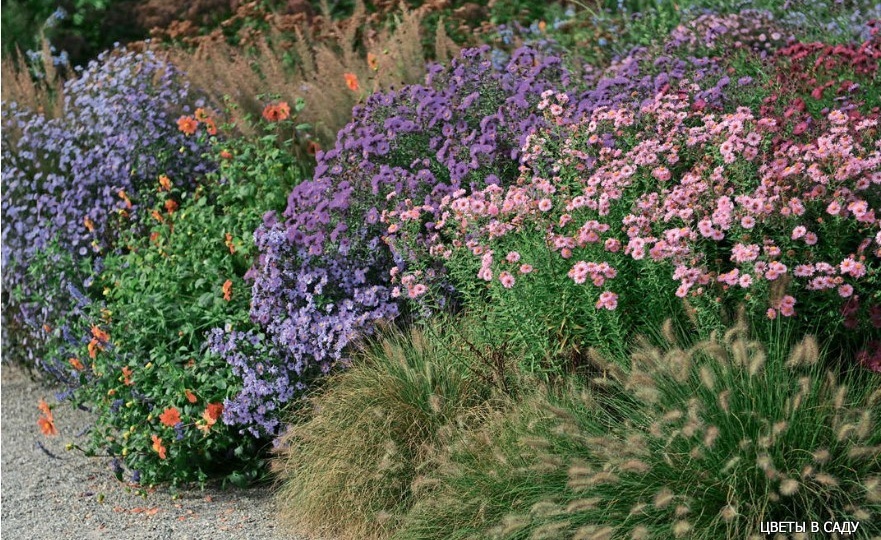 Такие разные октябринки - ноябринки