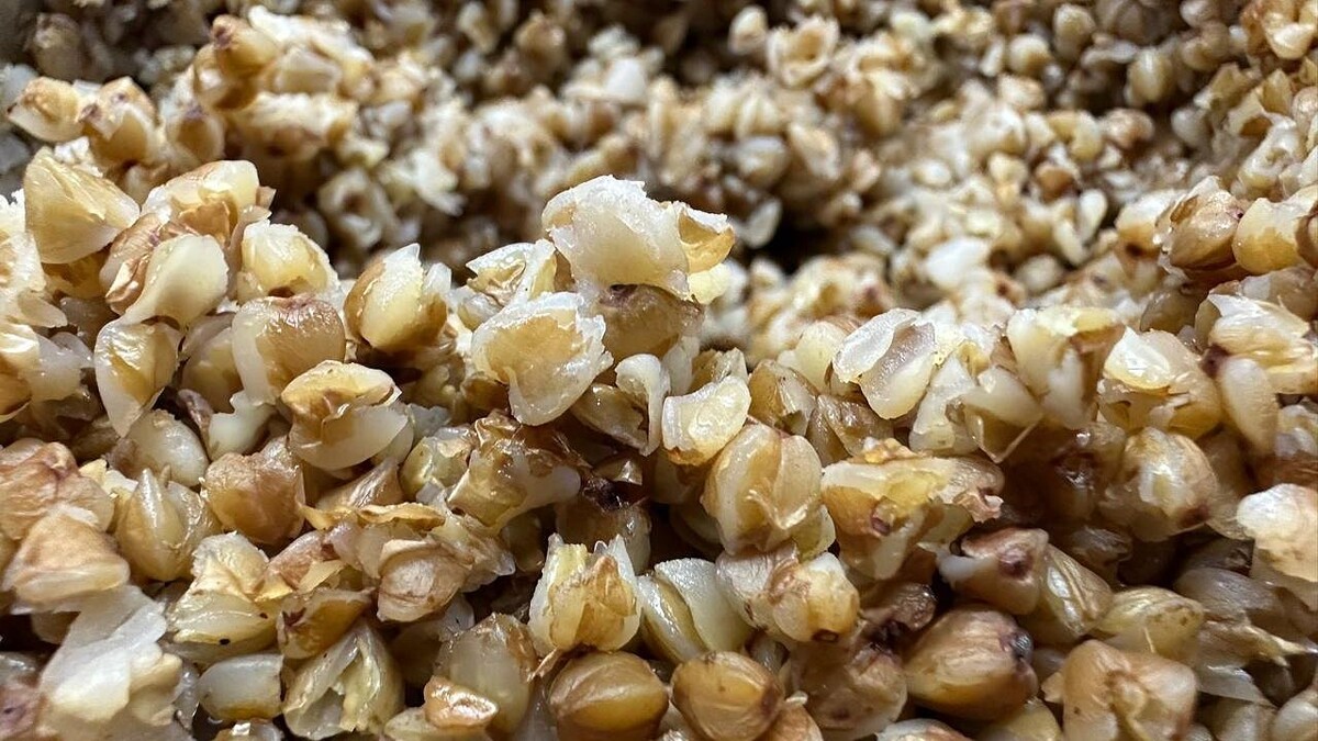    Фото: телеканал «Краснодар»