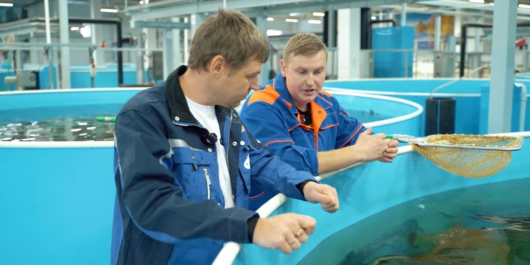 Мы побывали в Казани, на предприятии «Биосфера Фиш» — одном из крупнейших в Поволжье.