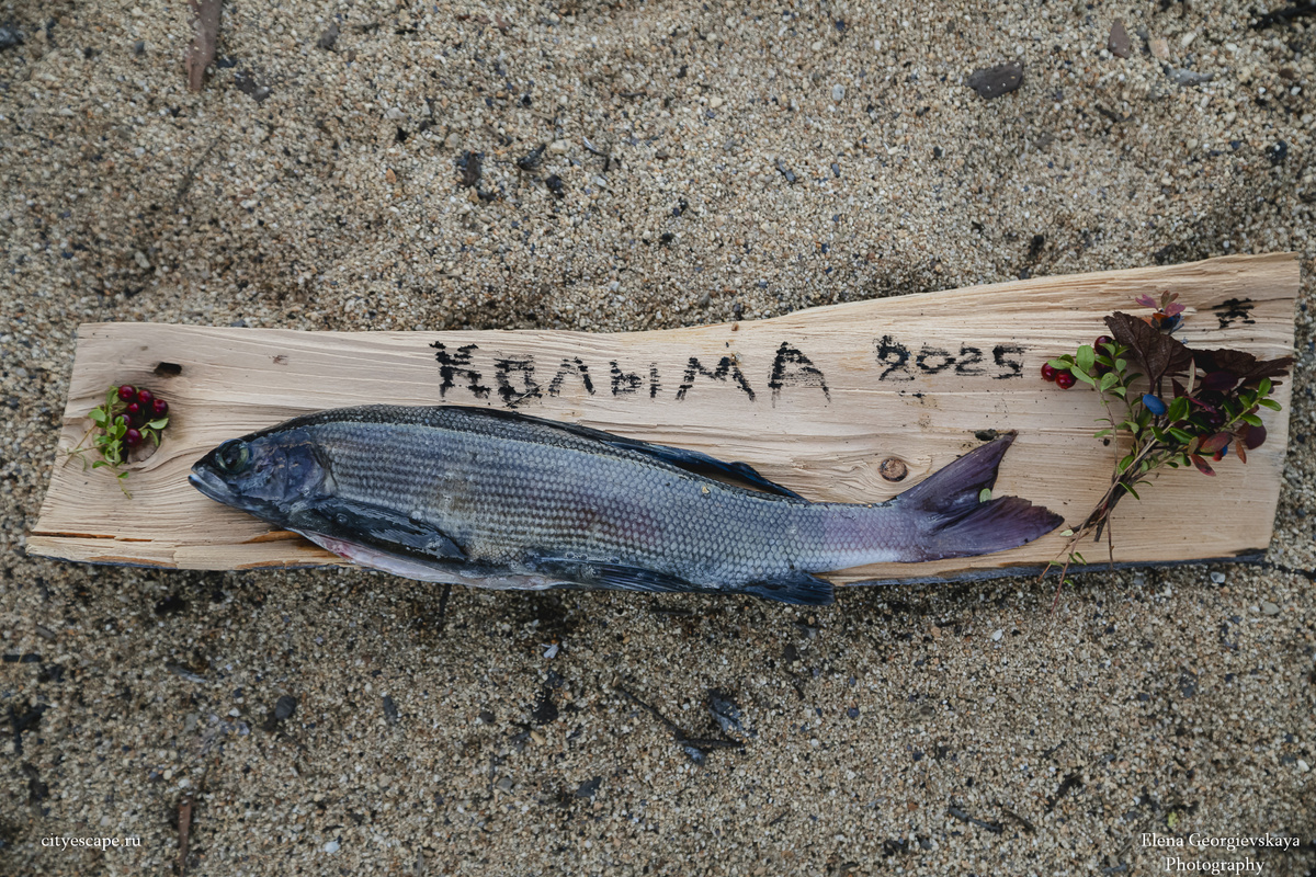 Фото: Елена Георгиевская / City Escape