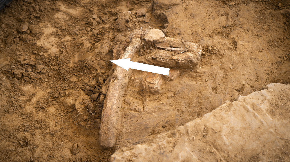    Шок в центре Минска: кто скрывается за найденными костями