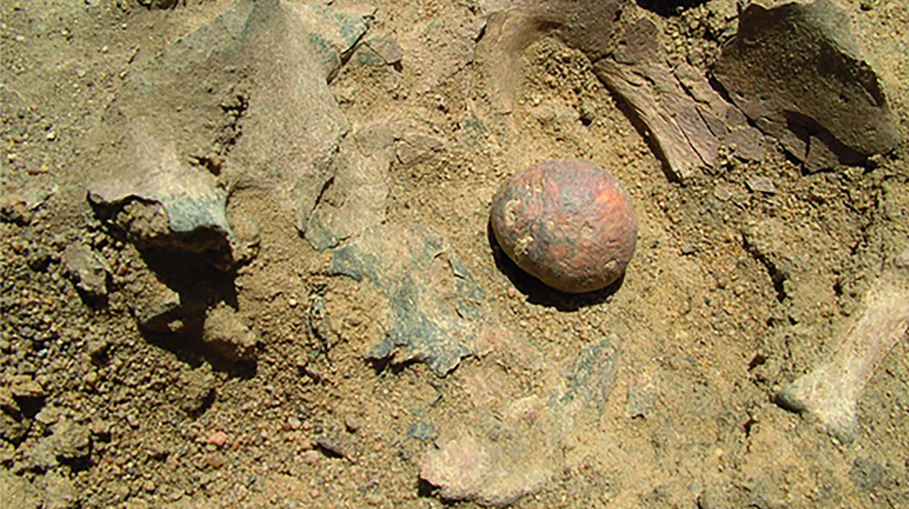    Шок в центре Минска: кто скрывается за найденными костями