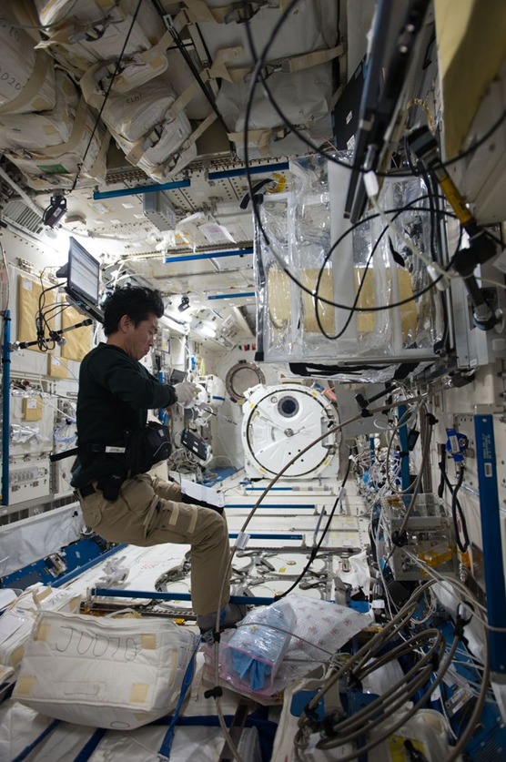 Кимия Юи в японском модуле Kibo. Фото: JAXA