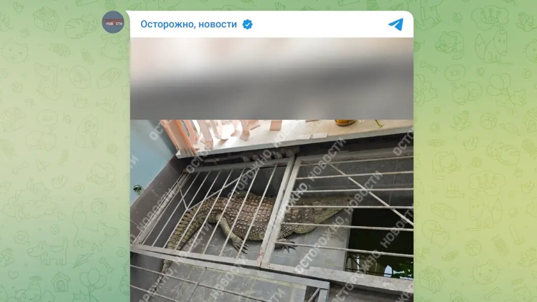    Telegram-канал "Осторожно, новости"