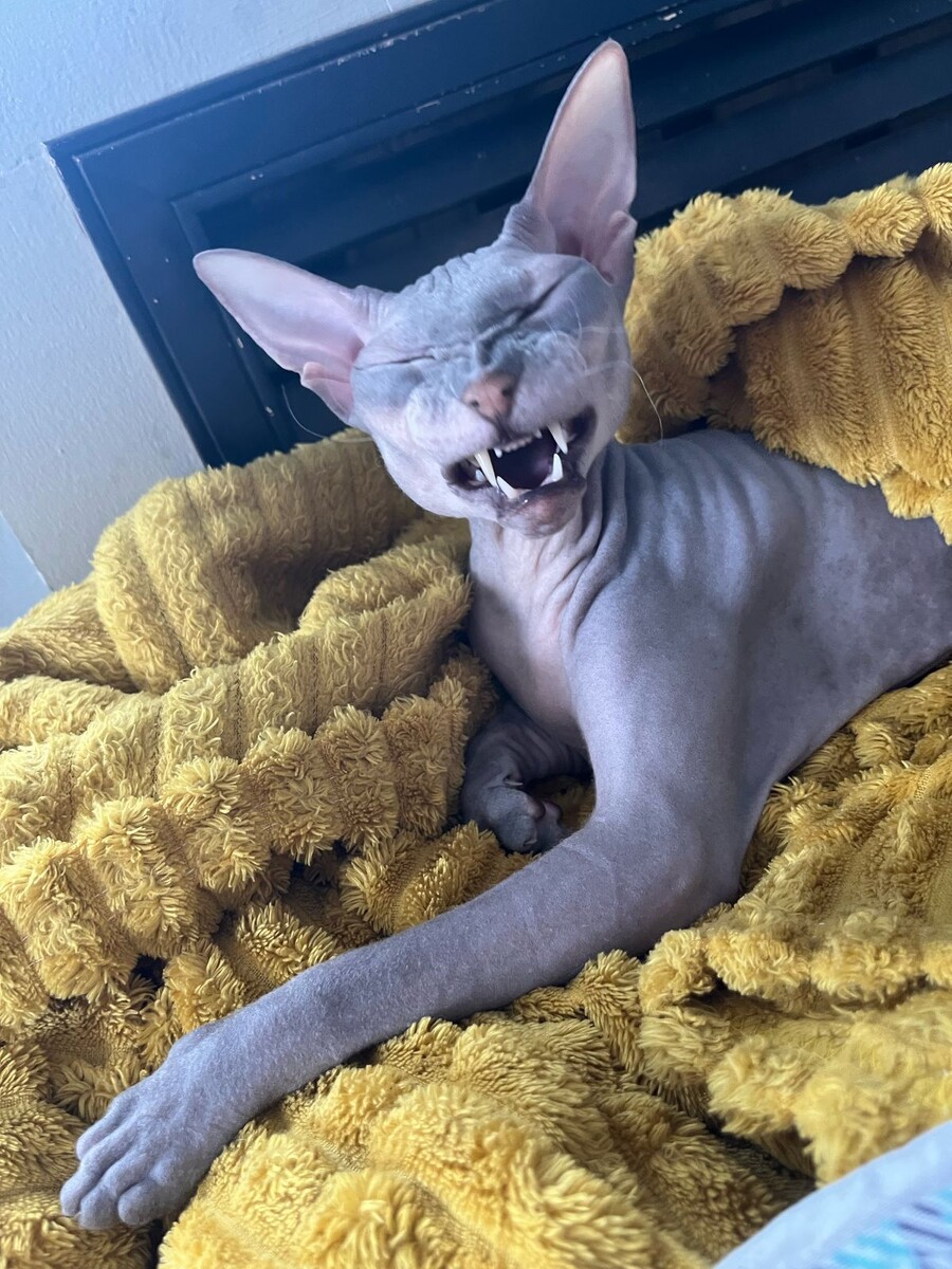 Я, по столу? Да никогда 😉