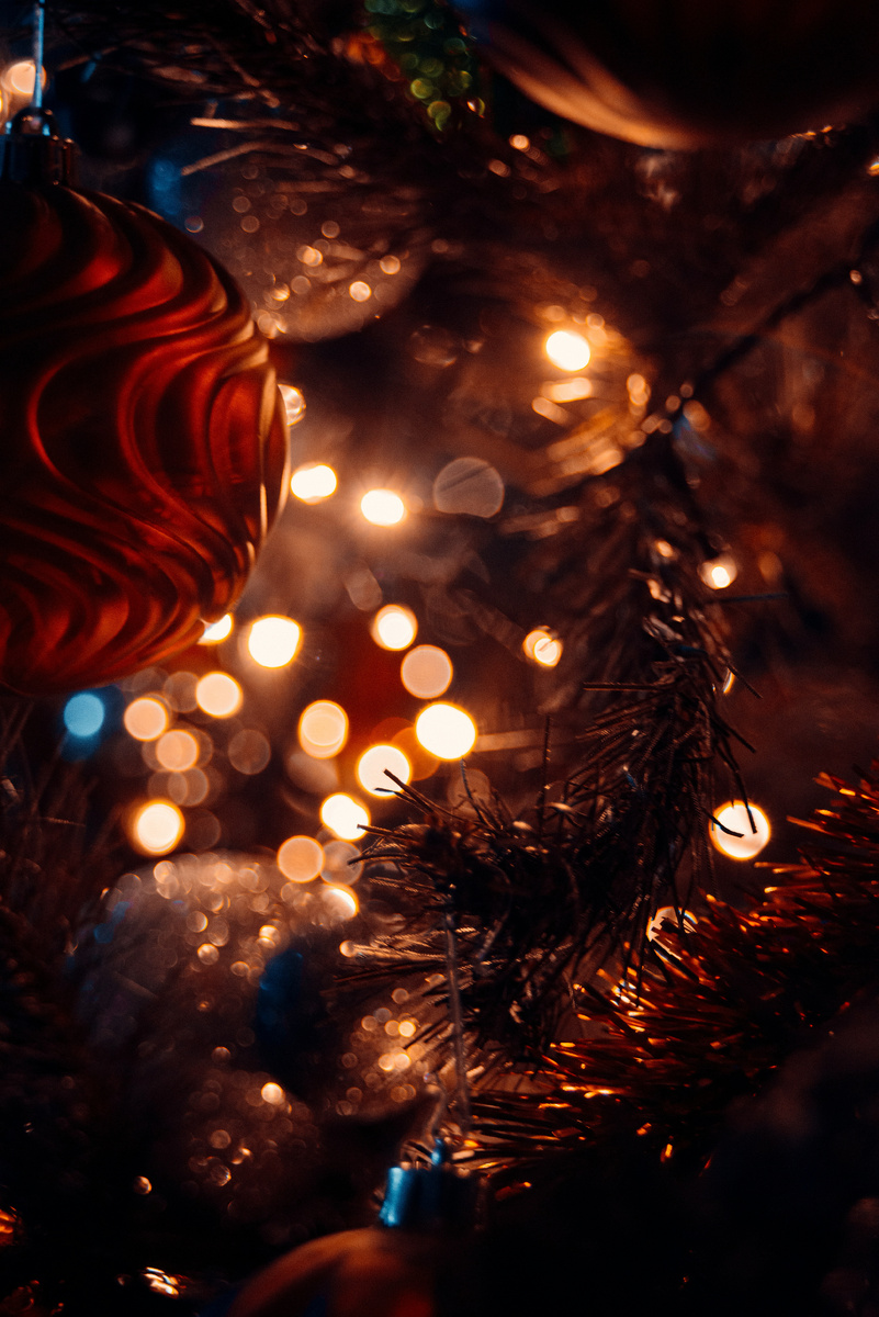 Photo by Emre Han Akçay
