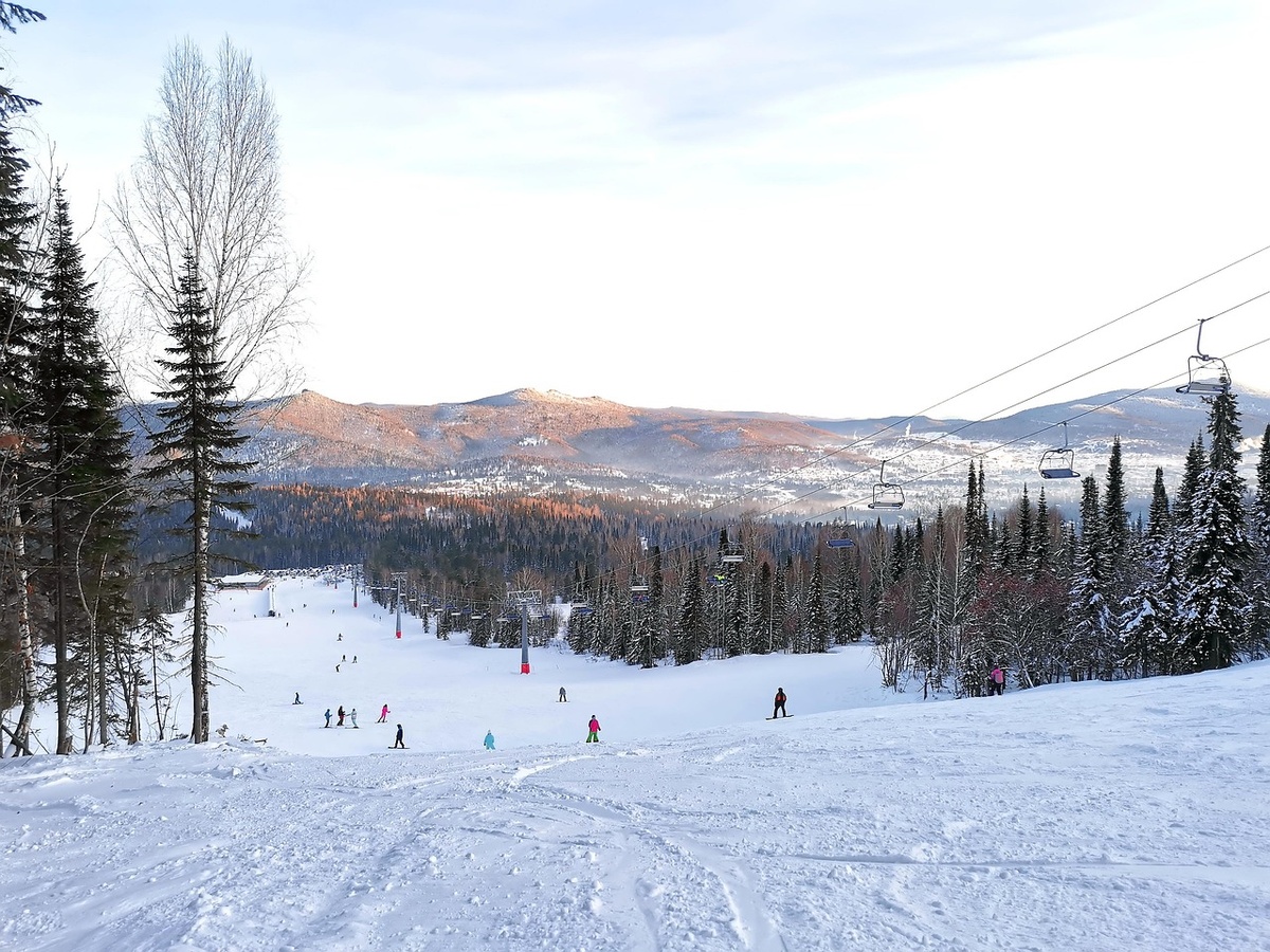 Изображение Don_moisey с сайта Pixabay