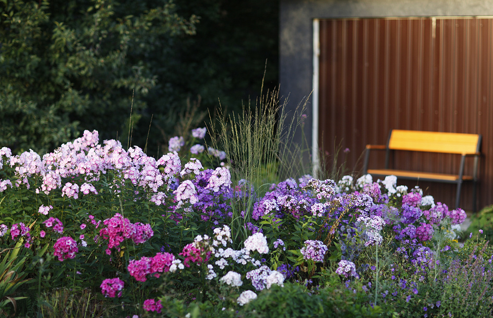 2. В галерее 3 фото, листайте