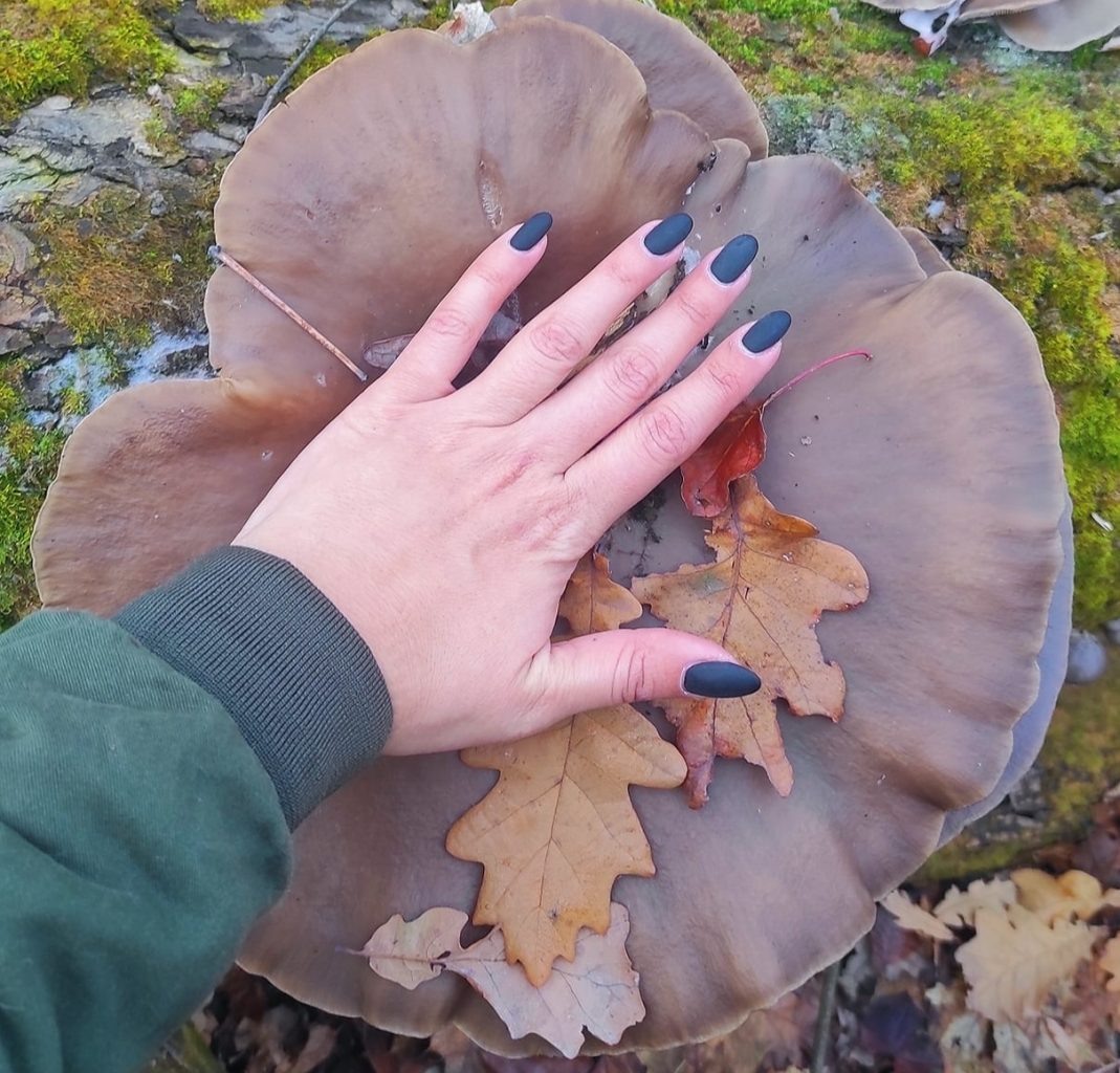     Фото: Екатерина Иванишина