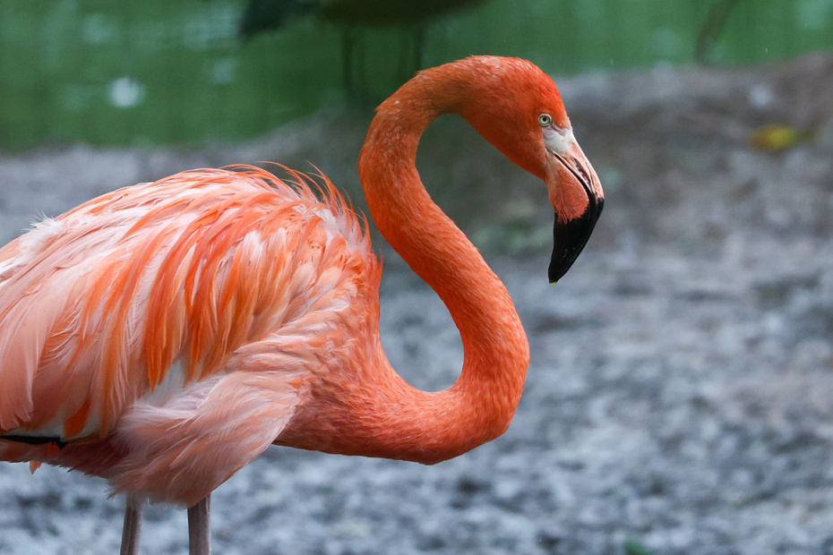    Сергей Петров/NEWS.ru