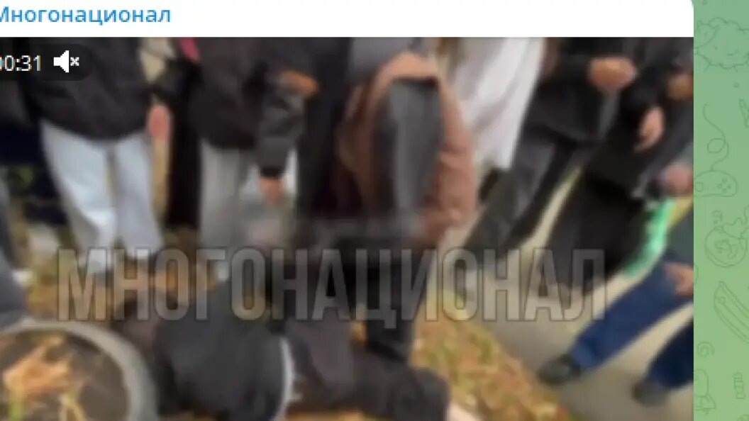 Фото: скрин тг-канала "Многонационал".