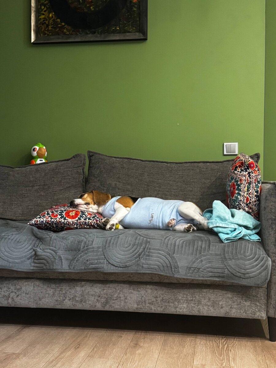 Трюфель после первоц операции