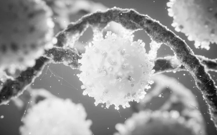 Cтареющая клетка