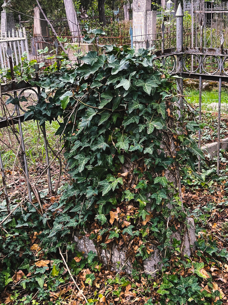 ФФото: Ольга ГибинаФ