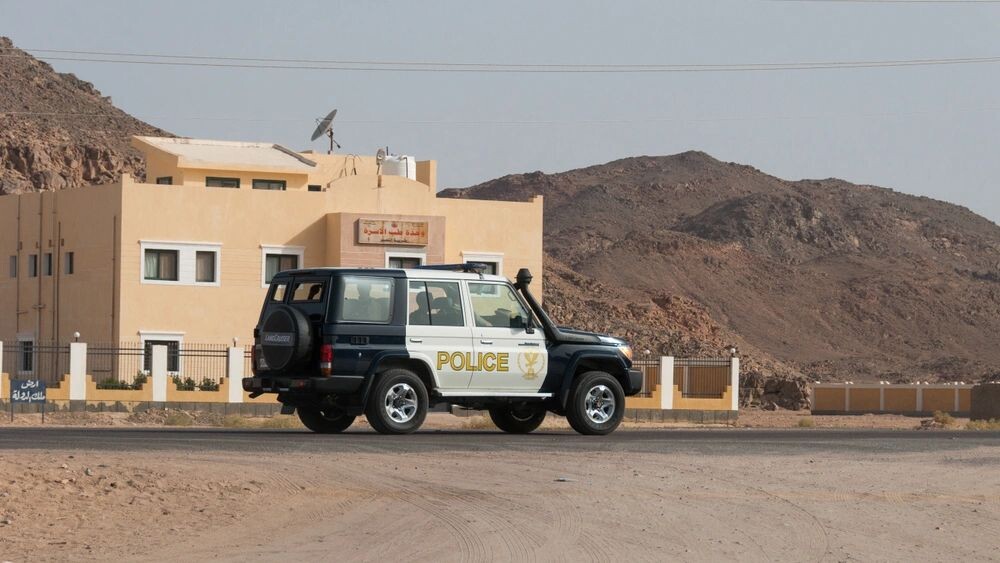    Фото: Giovanni Love/Shutterstock/Fotodom