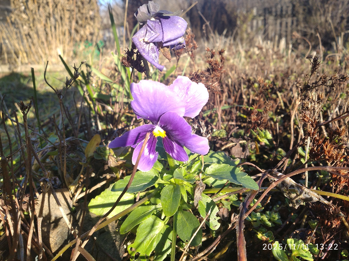 Мои фотографии