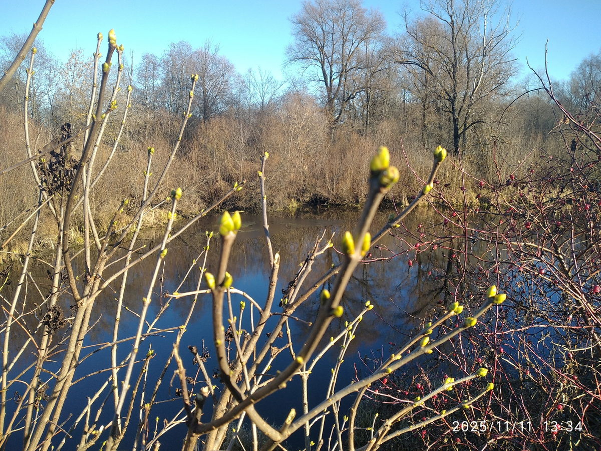 Мои фотографии