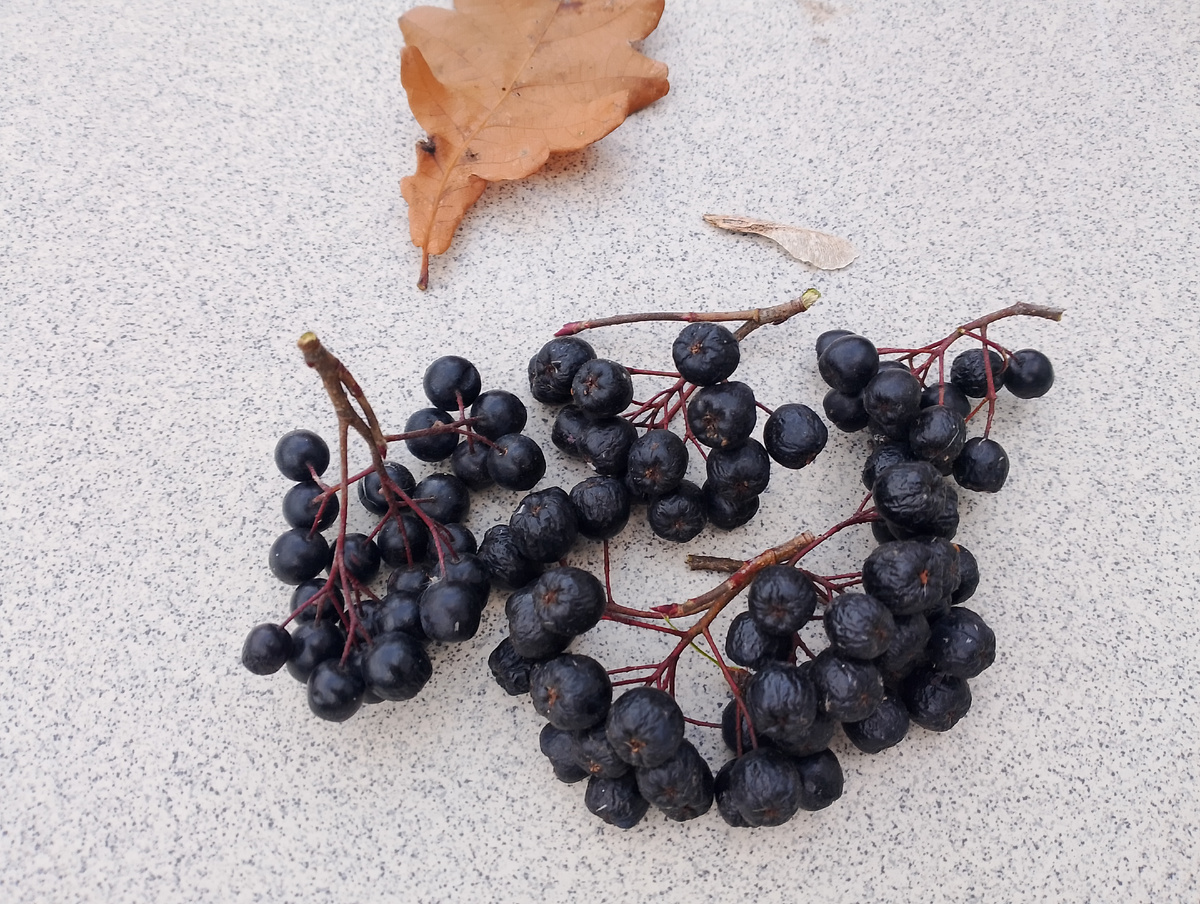 Фото для обложки