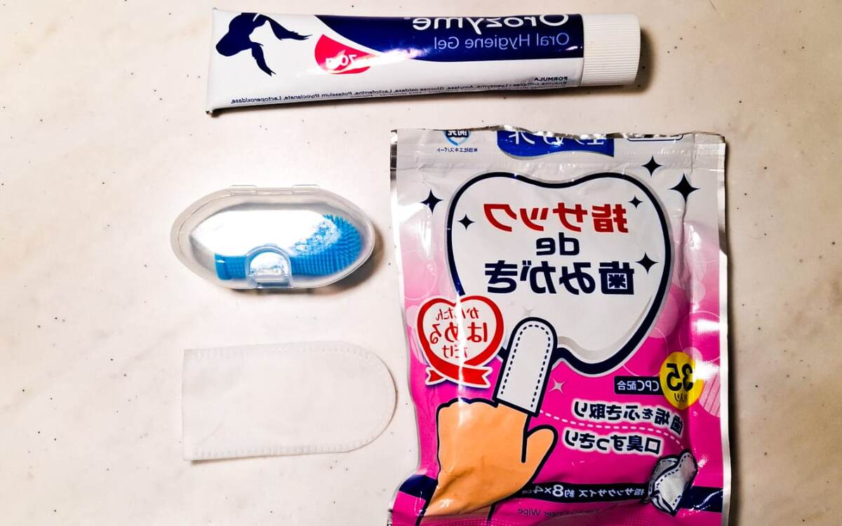 Булли Лейла уверена, что я Orozyme - это десерт. Фото наших средств гигиены предоставлено исключительно для иллюстрации статьи