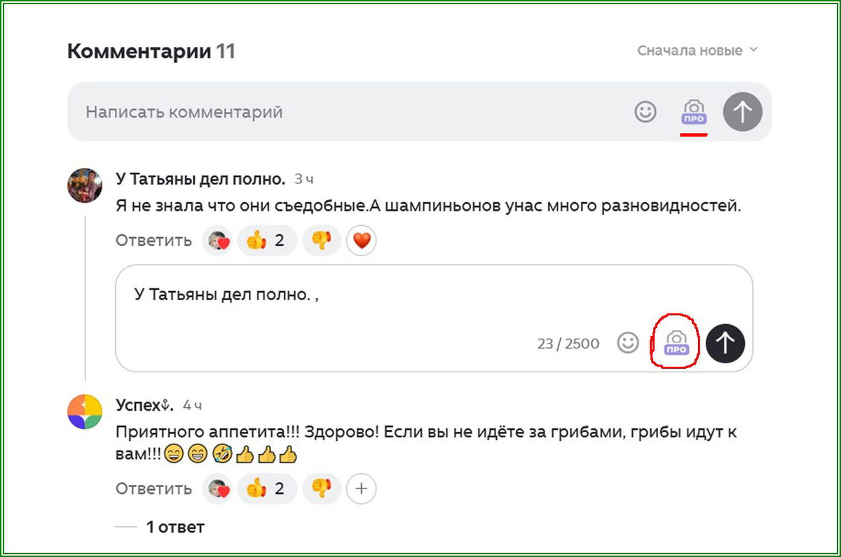 В комментах фотоаппарат с картинкой ПРО