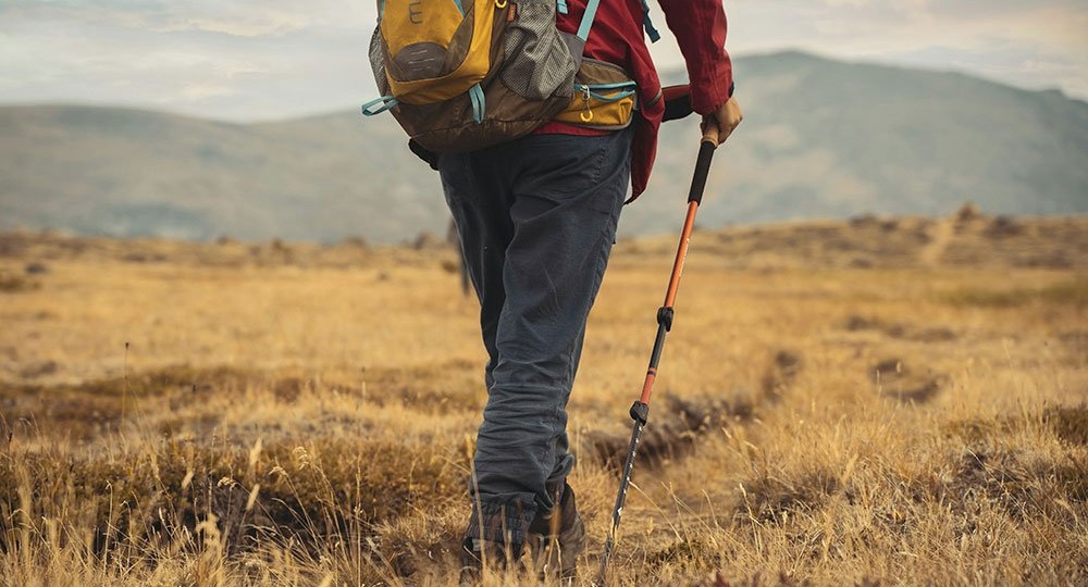 Скандинавская ходьба с палками: правильная техника, которую нарушают 90% новичков