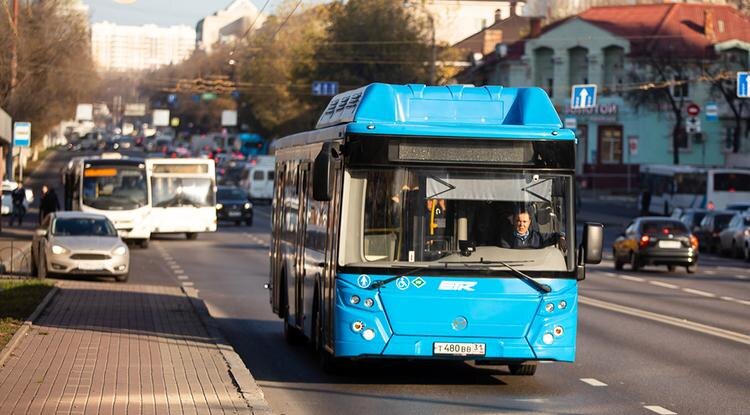 Фото: Павел Колядин (архив)