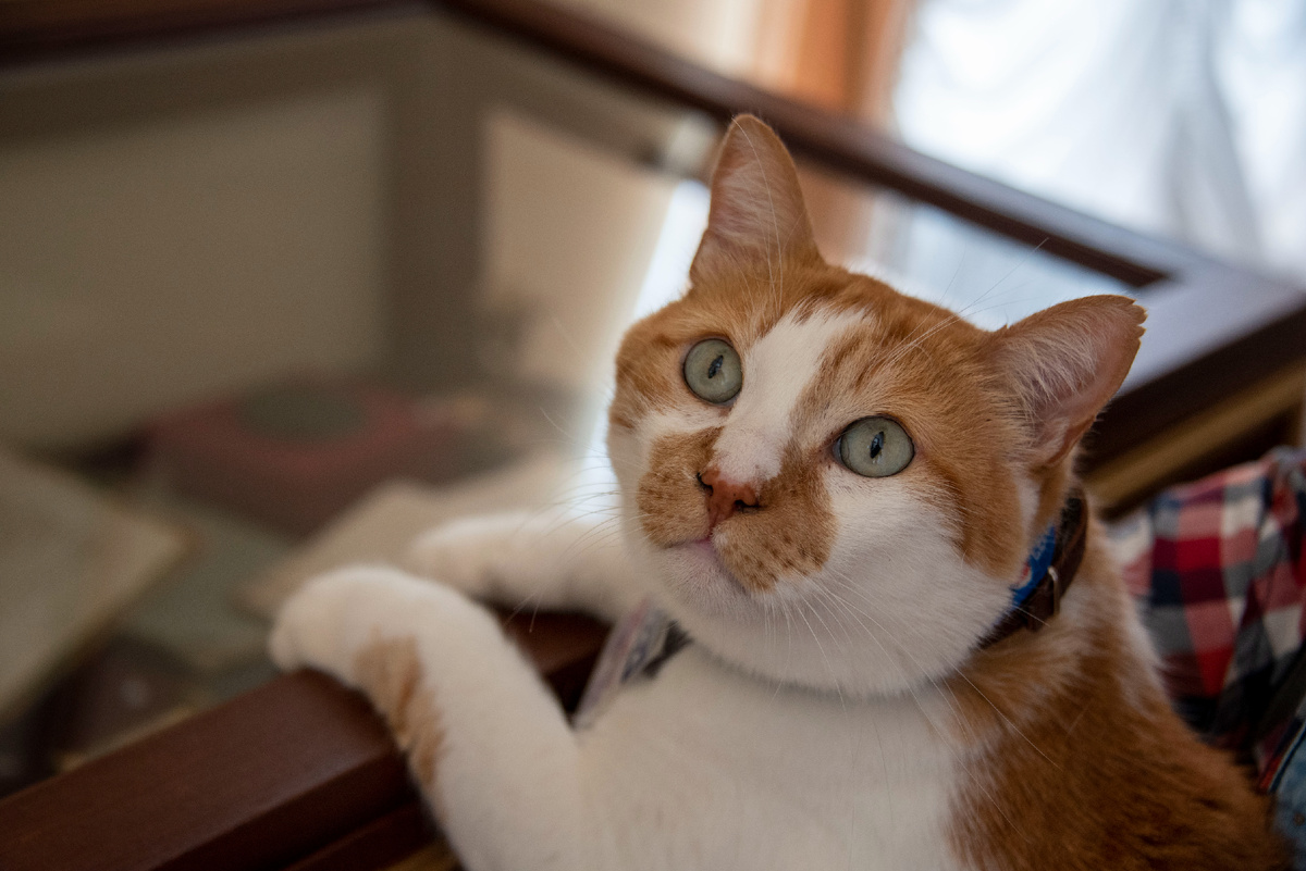 С интересом слушаю историю этого места.