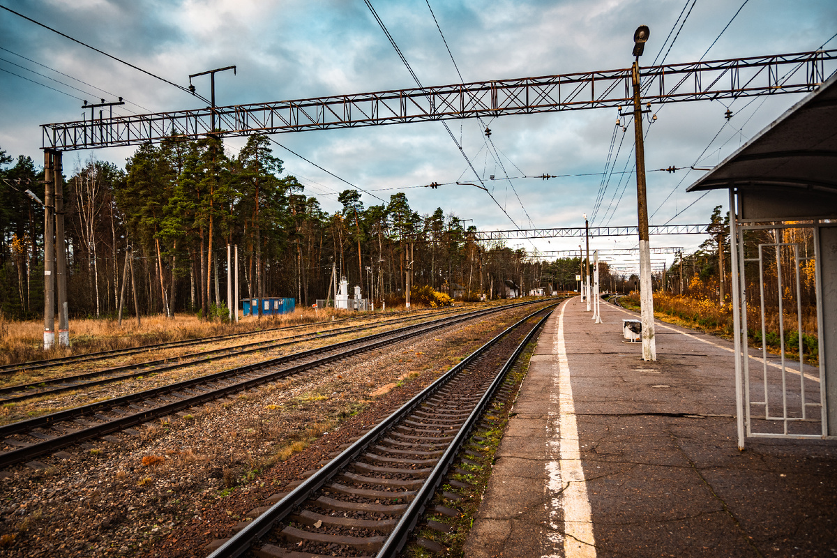 Станция Лебяжье. Фото автора