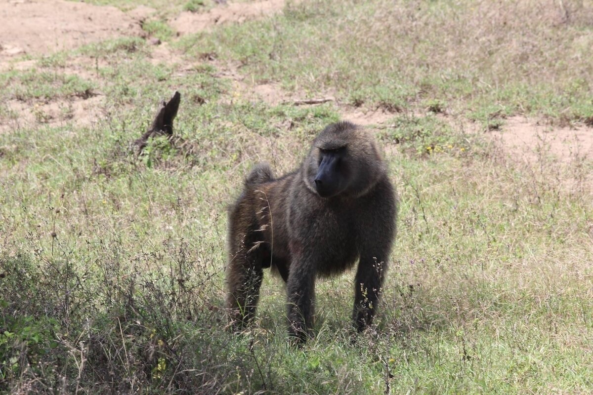 Фото с сайта: https://dzen.ru/a/YCgRDMIZyX4yTIYT
