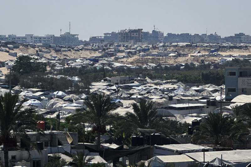    Фото: Tamer Ibrahim/Globallookpress