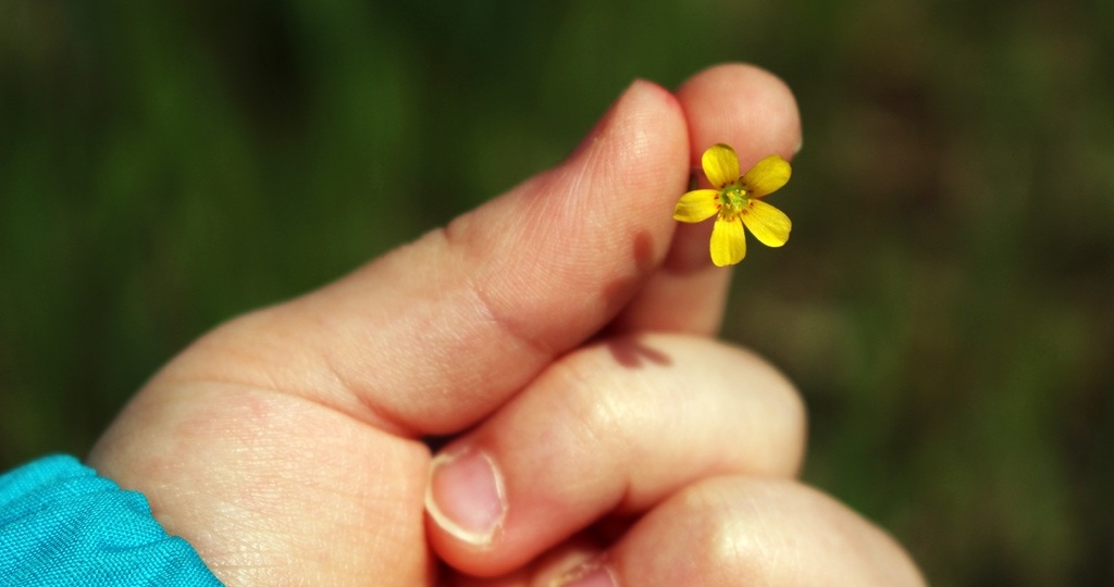 13 ноября 2025 года, четверг: День доброты, День качества, День фейерверкера, День слепых, 280 лет назад родился Валентин Гаюи, автор алфавита для незрячих