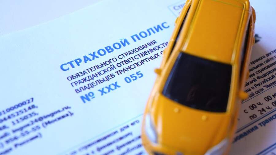    Фото: ИЗВЕСТИЯ/Дмитрий Коротаев