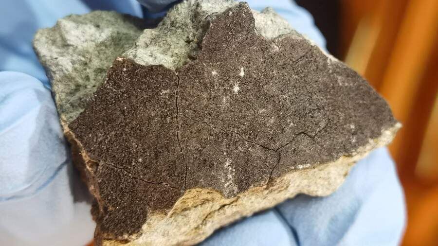    Фото: t.me/geokhi