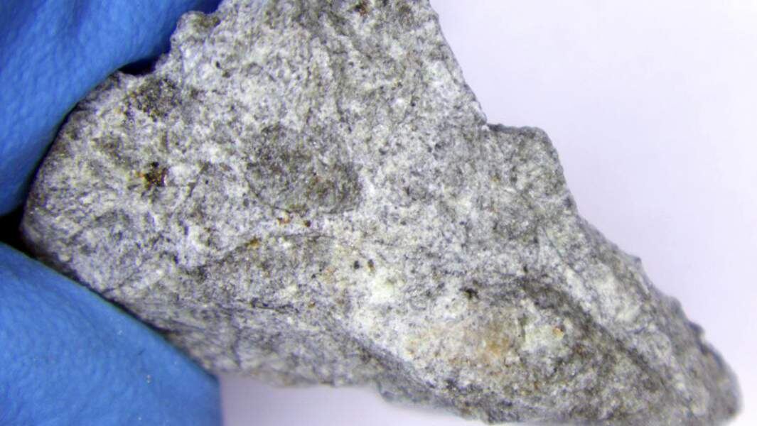    Фото: t.me/geokhi