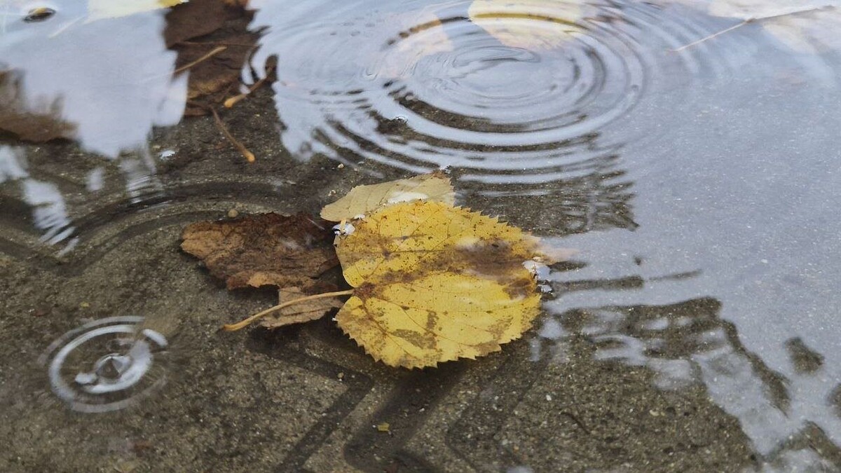    Фото: телеканал «Краснодар»