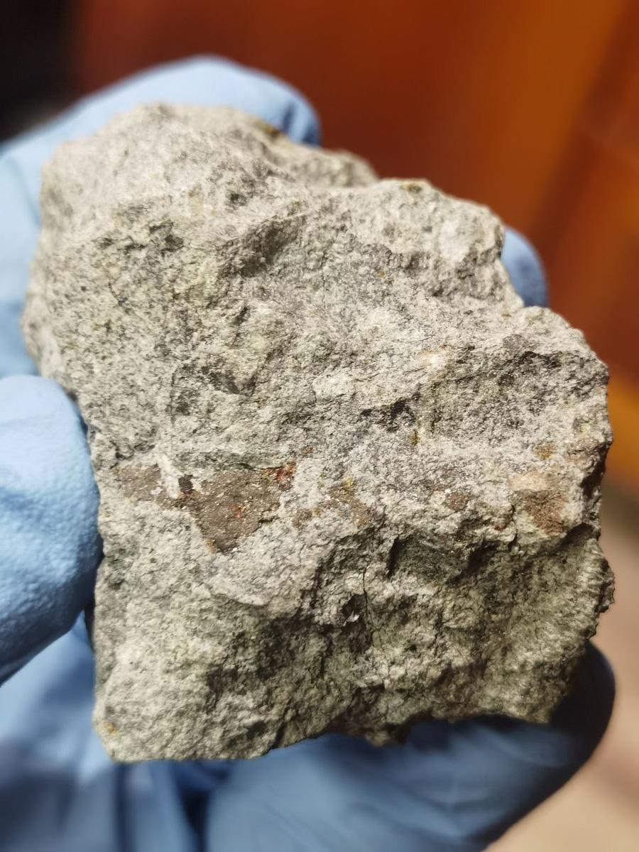 Фото: ГЕОХИ РАН  📷
