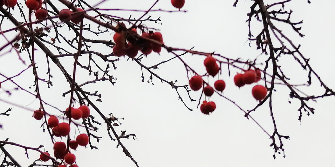 Почему начать с понедельника — плохая идея