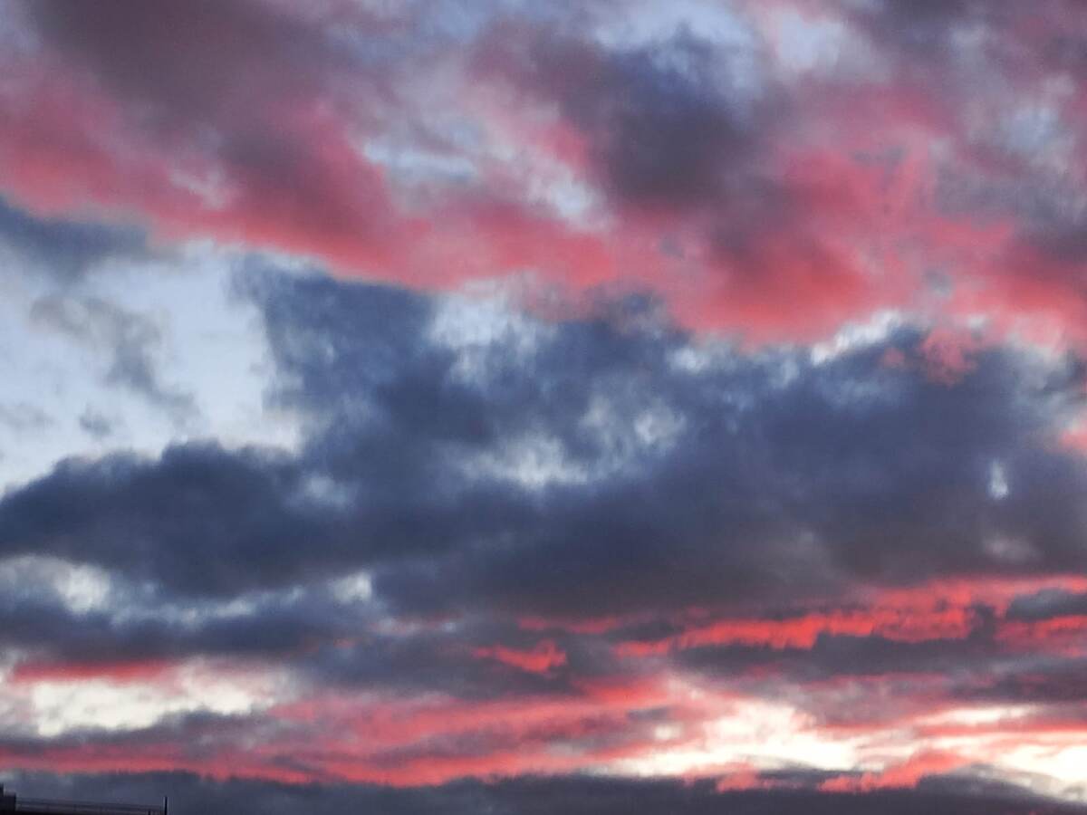 Фото автора Татьяны Федотовой.