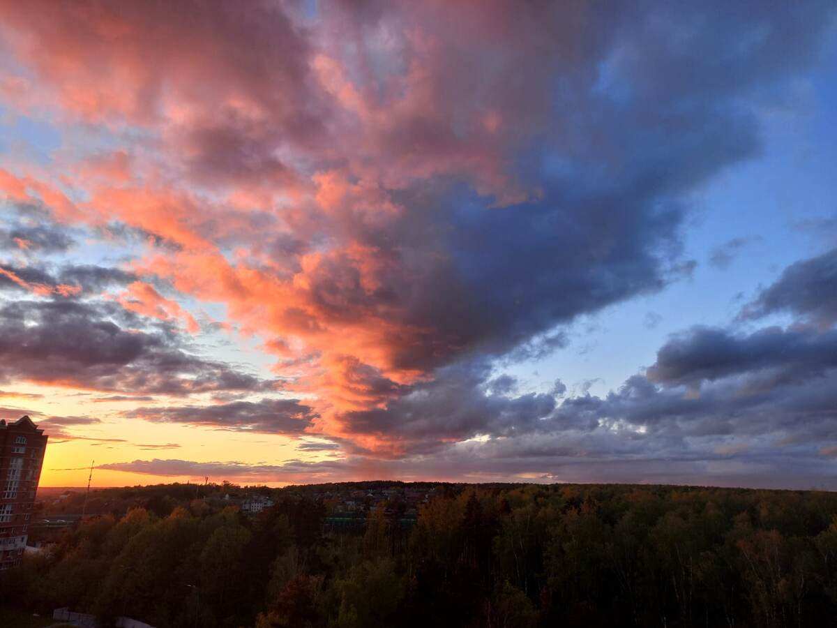 Фото автора Татьяны Федотовой.